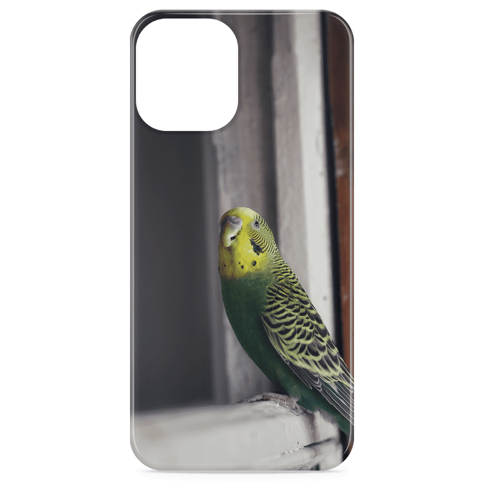 iPhone 12  Mini Photo Case - Snap On